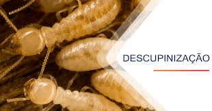 Dedetizadora de Marimbondo 